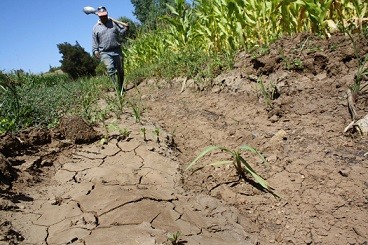 El campo mexicano sufre por la falta de lluvias