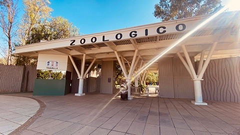 Durante el período vacacional abrirá el zoológico de Irapuato