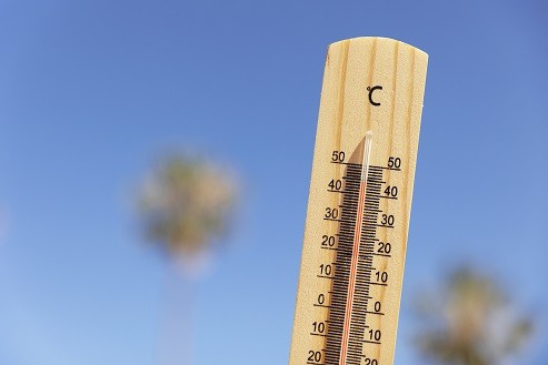 Reporta la SSG 39 casos por golpes de calor