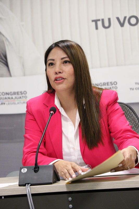 Acusan a diputado de Morena David Martínez por utilizar lenguaje misógino y discriminatorio