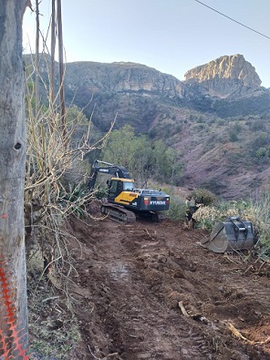 Nadie frena la tala de árboles en zona colindante con el cerro del Hormiguero