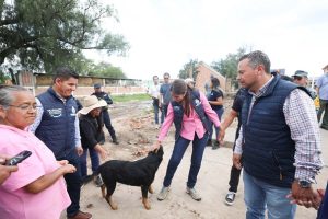 En Guanajuato la protección y bienestar animal ya son un derecho en nuestra Constitución