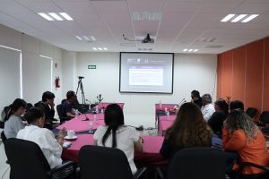 Participa Guanajuato en consulta sobre accesibilidad integral para el voto de personas con discapacidad visual