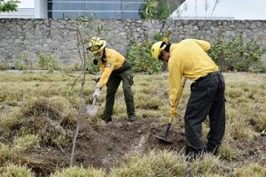 UG fortalece sus espacios verdes con jornadas de reforestación por el Día Mundial del Medio Ambiente