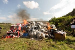 Destruyen droga y bienes del crimen con valor superior a 10 millones de pesos en Guanajuato