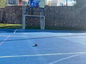 Vándalos lanzan piedras a cancha de basquetbol en Macro Centro