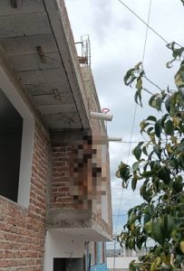 Ciudadanos piden castigar a responsables de matar a dos canes