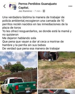 Acusan a Policía Ambiental del municipio por impedir resguardo de cachorros