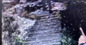 Observatorio Ciudadano de Guanajuato consulta a ciudadanos por construcción de escalones en La Bufa