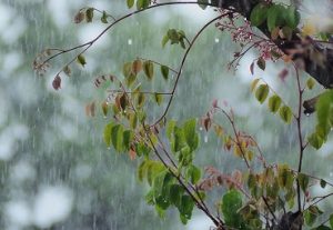 Lluvias y vientos ligeros son pronosticados para esta semana