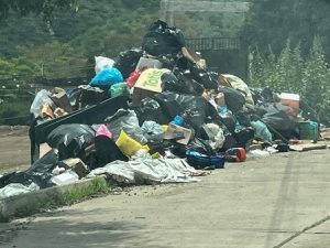Se desborda la basura en contenedor de Ex Hacienda Santa Teresa
