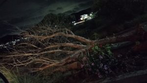Reportan asaltos en Cerro de los Leones y Cerro del Gallo aprovechando apagones