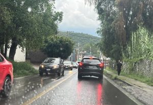 Exigen al municipio de Guanajuato realice podas de árboles afectados con muérdago